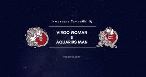 Aquarius Man and Virgo Woman Compatibility