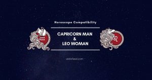 Capricorn Man and Leo Woman Compatibility