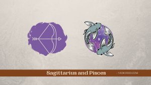Sagittarius and Pisces Compatibility - Based on Vedic Astrology