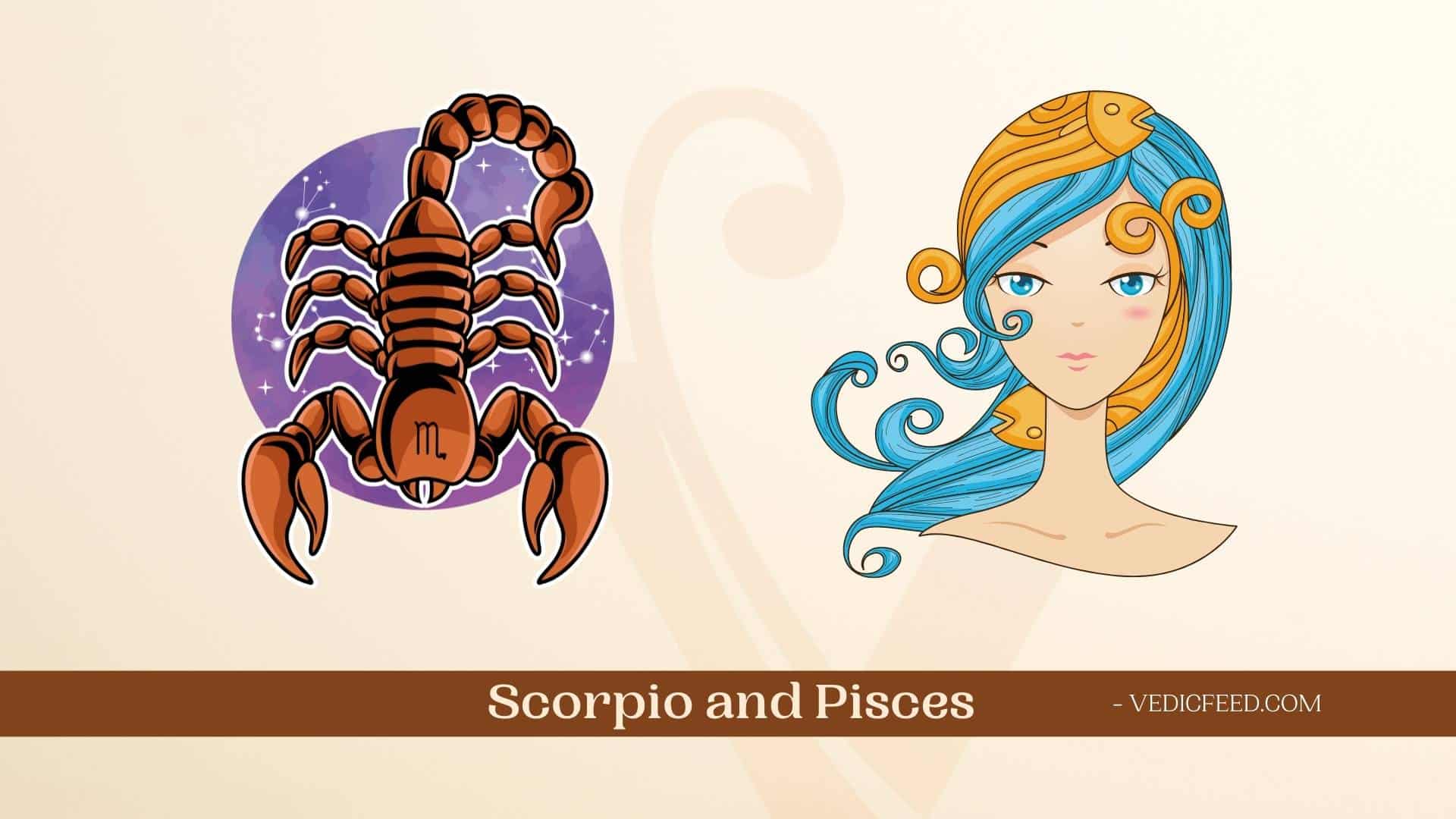 Scorpio and Pisces Compatibility In Love Friendship More