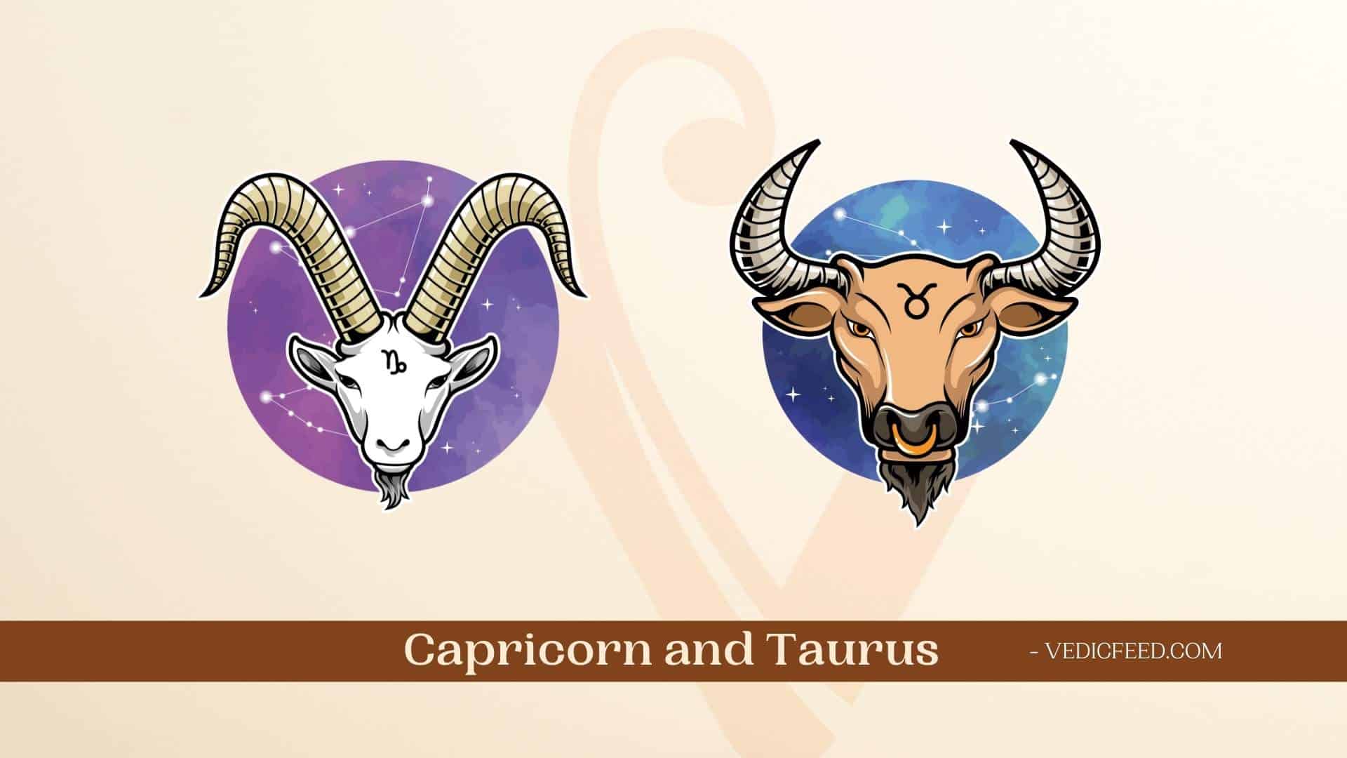 Capricorn and Taurus Compatibility In Love, Friendship & More