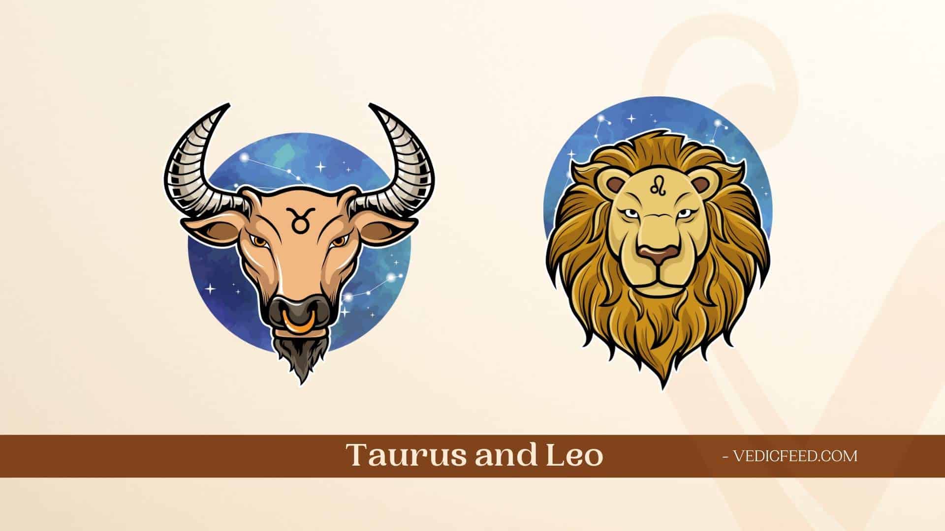 Taurus And Leo Compatibility 