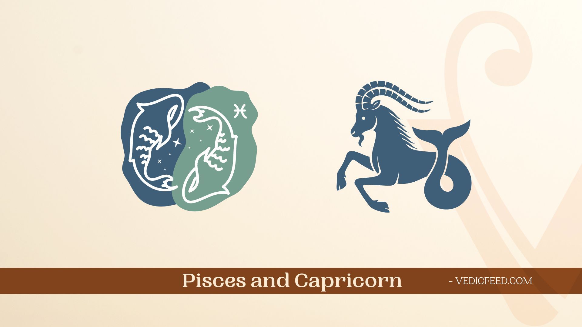 Pisces and Capricorn Compatibility Based on Vedic Astrology