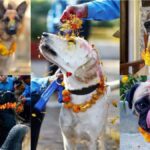 Kukur Tihar